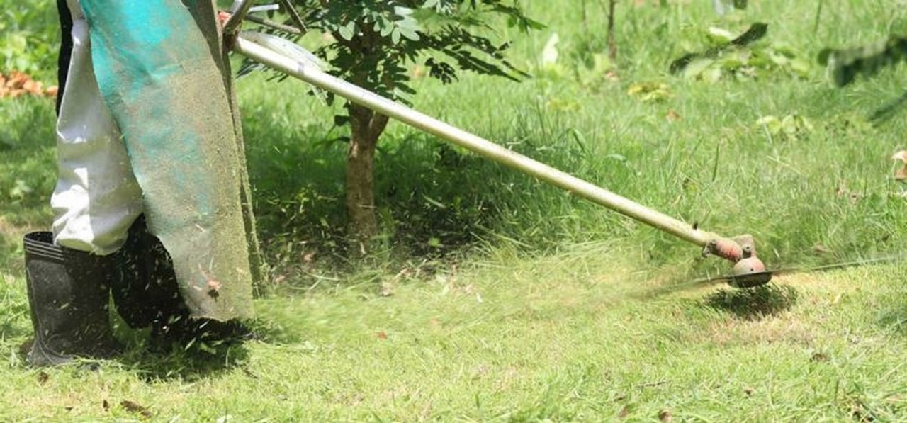 22072020 parana roco2 Easy Resize.com - EM PLENA PANDEMIA: Prefeitura de Paraná-RN vai gastar mais de R$ 40 mil com roço em poucas estradas vicinais do município.